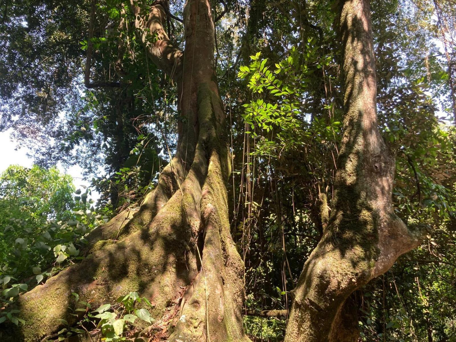Lake Mwamba Lodge Kasenda المظهر الخارجي الصورة